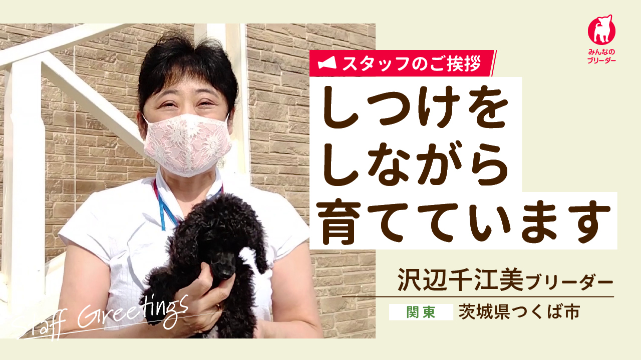スタッフ紹介の動画