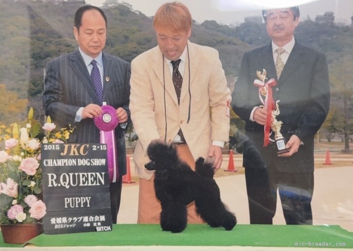 管野真美ブリーダーのブログ：ひっそりと