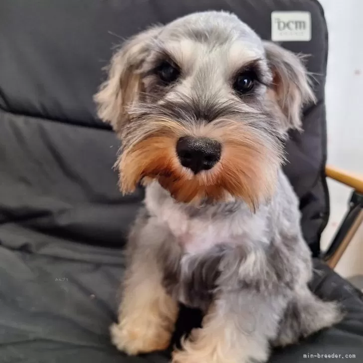 E.M 様のお迎えした子犬