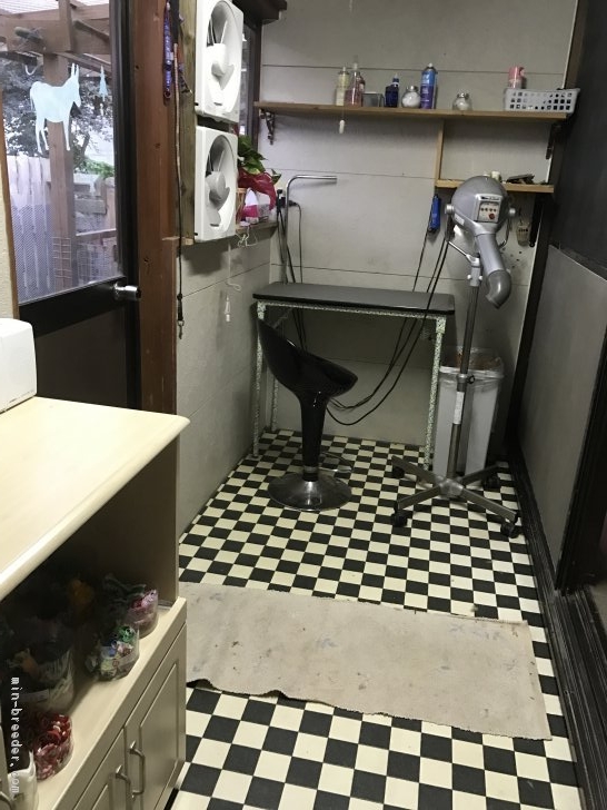 トリミング室装備で毎日の清潔管理を維持しています｜小沼　絹代(おぬま　きぬよ)ブリーダー(鹿児島県・トイプードルなど・JKC登録)の紹介写真2