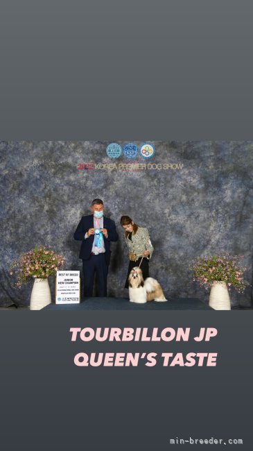 高嶋三智ブリーダー