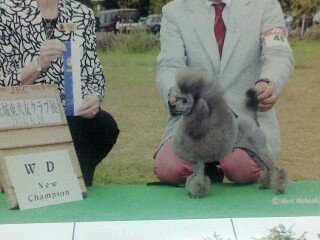 菊地原真澄ブリーダー