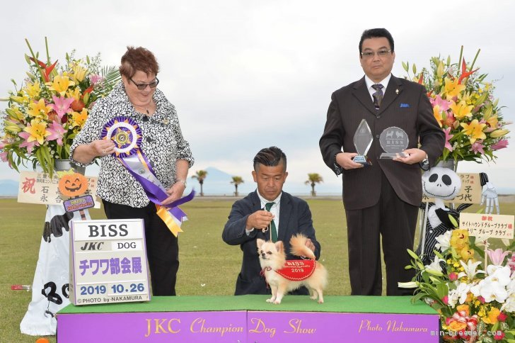 近藤弘純ブリーダー