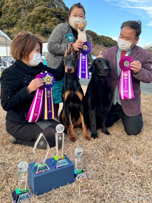 三浦　幸男(みうら　ゆきお)ブリーダー(大分県・ドーベルマンなど・JKC登録)の紹介写真5