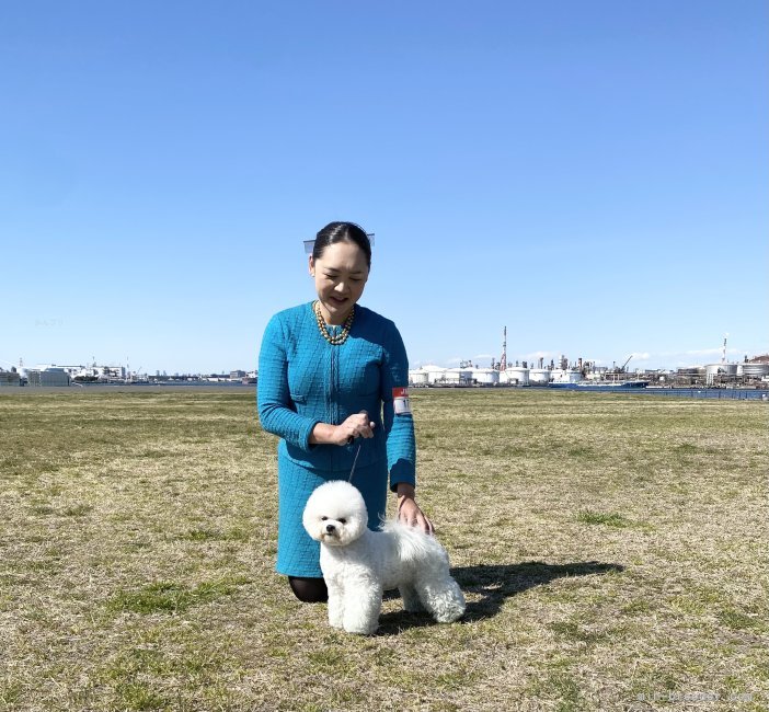 平葭　淳(ひらよし　じゅん)ブリーダー(千葉県・アイリッシュセッターなど・JKC登録)の紹介写真4