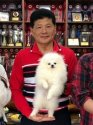 ポメラニアン【・男の子・2018年6月23日・WHITE】「Qタローを抱く台湾のCHIAO LI YA犬舎のオーナー 謝承儒　氏」