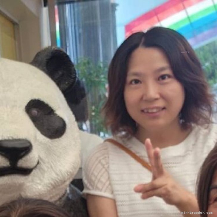 小林麻美ブリーダー