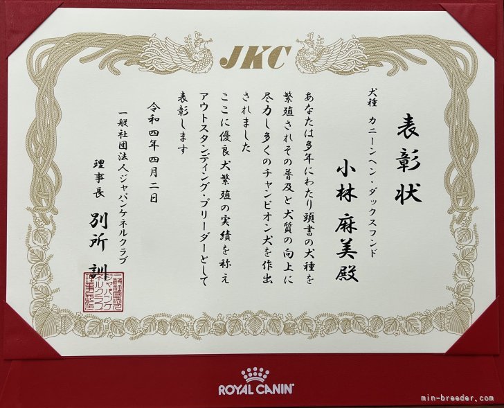 ブリーディングアワード受賞‼️｜小林　麻美(こばやし　あさみ)ブリーダー(和歌山県・カニンヘンダックスフンド(ロング)など・JKC登録)の紹介写真6