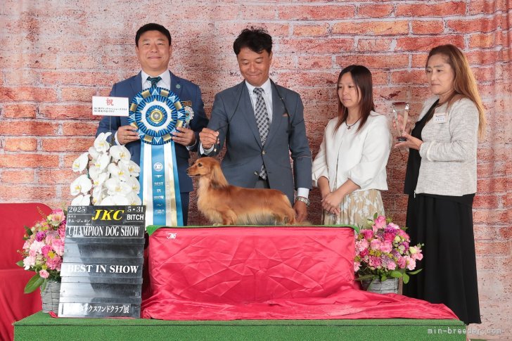 小林　麻美(こばやし　あさみ)ブリーダー(和歌山県・カニンヘンダックスフンド(ロング)など・JKC登録)の紹介写真9