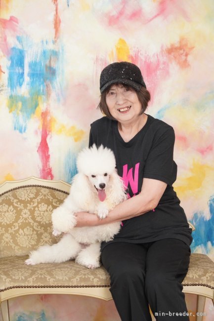 遠藤　朗子(えんどう　さえこ)ブリーダー(茨城県・トイプードルなど・JKC登録)の紹介写真10