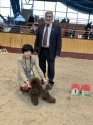 トイプードル【・女の子・2018年2月3日・ブラウン】「ベラルーシでBOB」