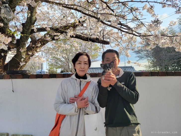 江田大介ブリーダーのブログ：飼主様決まりました😊✨