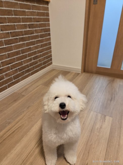 谷口順子ブリーダー