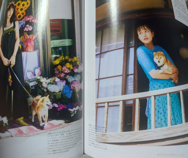 犬飼政人ブリーダーのブログ：写真から伝わる“ぎゅっ”とした可愛さ…最高です！   -