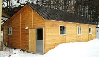 高橋　明彦(たかはし　あきひこ)ブリーダー(北海道・ブルドッグなど・JKC登録)の紹介写真3