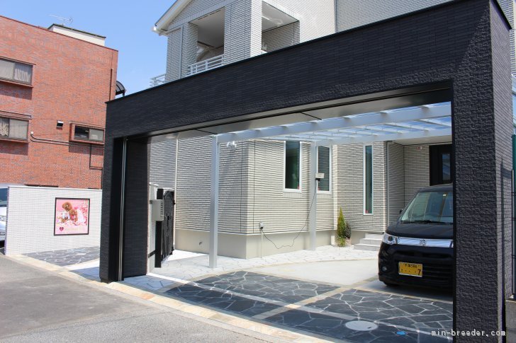 是非、ご見学！遊びに来て下さいね‼｜高野　延夫(たかの　のぶお)ブリーダー(千葉県・トイプードル・JKC登録)の紹介写真3