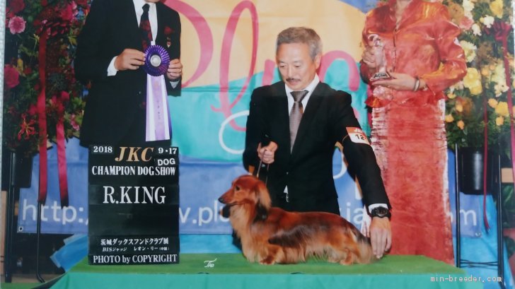 上村昭廣ブリーダー