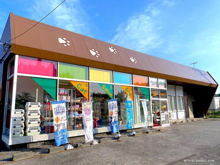 犬舎外観　充実した品ぞろえと可愛い自家繁殖のペットの販売｜春山　美七(はるやま　みな)ブリーダー(石川県・ラブラドールレトリバーなど・JKC登録)の紹介写真3