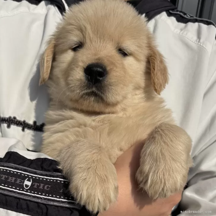 H.K 様のお迎えした子犬
