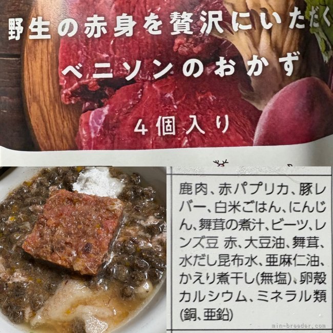 金澤安奈ブリーダーのブログ：10月29日お散歩🎶