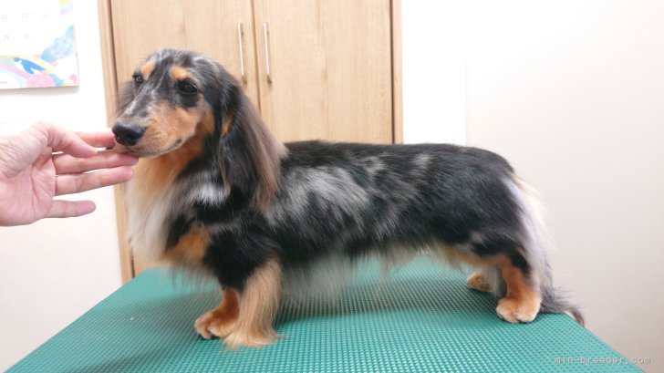 骨格構成が正しくコートも綺麗です。