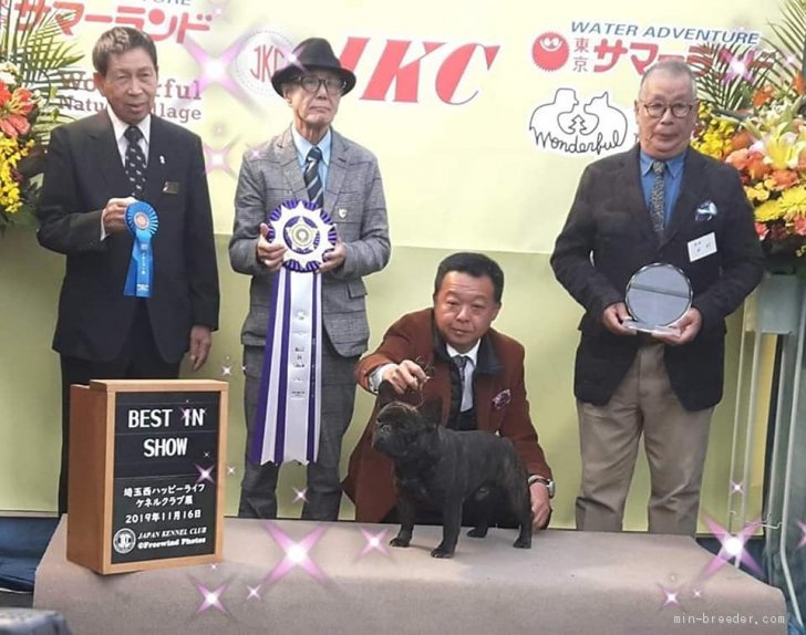 五代　三佳江(ごだい　みかえ)ブリーダー(群馬県・フレンチブルドッグなど・JKC登録)の紹介写真3