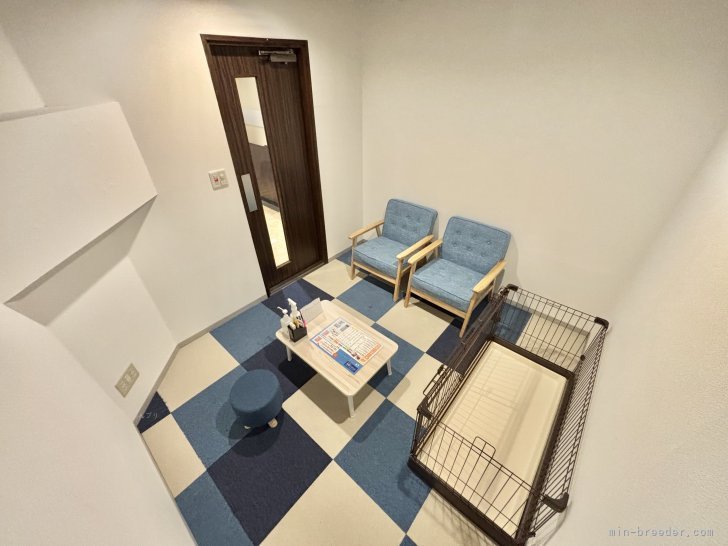 完全個室の接客ルームでワンちゃんとゆっくり触れ合えます👌｜松原　慶典(まつばら　けいすけ)ブリーダー(愛知県・JKC登録)の紹介写真2