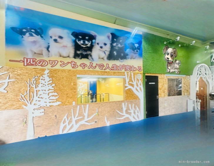 店舗入り口リニューアル🐶｜井上　朋之(いのうえ　ともゆき)ブリーダー(岐阜県・パグなど・JKC/KCJ登録)の紹介写真2