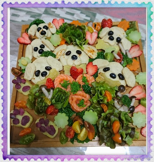 人もワンコもバランスのよい食事が大切です。当犬舎では、完全手作りご飯で育てています。｜山岸　江身子(やまぎし　えみこ)ブリーダー(千葉県・トイプードル・JKC登録)の紹介写真2