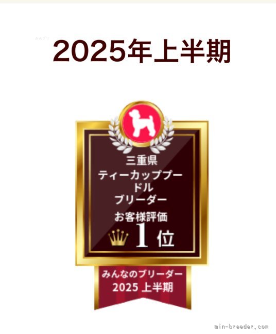 鬼頭昌宏ブリーダーのブログ：販売中の可愛い子💖優しいお家を探し中🏠‎🤍