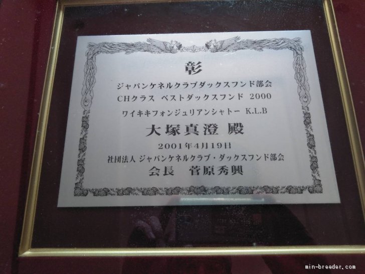 カニンヘンダックスがJKCで公認された当時からのブリーダーです。｜大塚　京子(おおつか　きょうこ)ブリーダー(茨城県・カニンヘンダックスフンド(ロング)・JKC登録)の紹介写真3