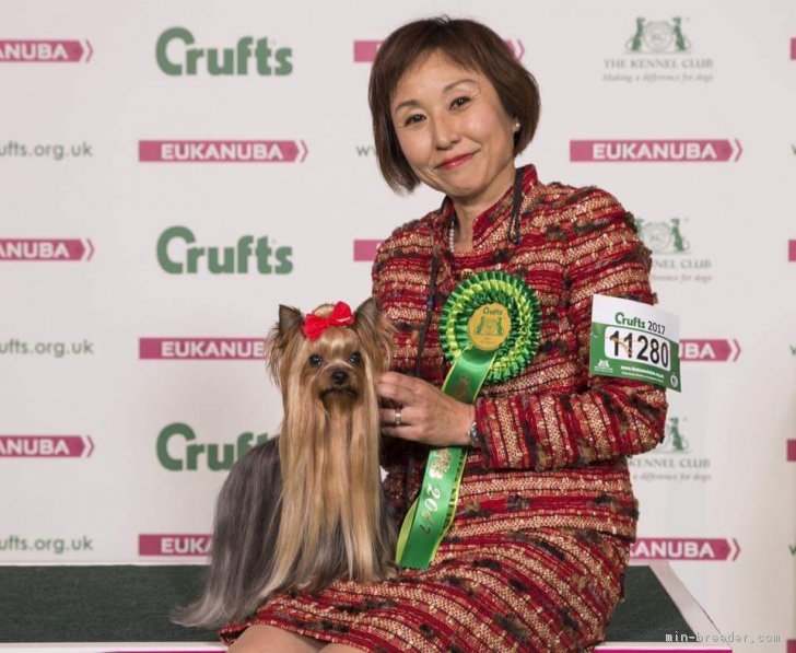 門脇千鶴ブリーダー