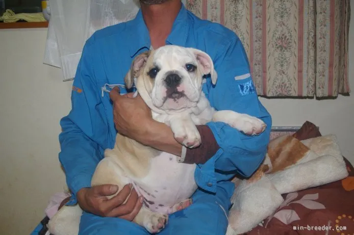 山田 様のお迎えした子犬