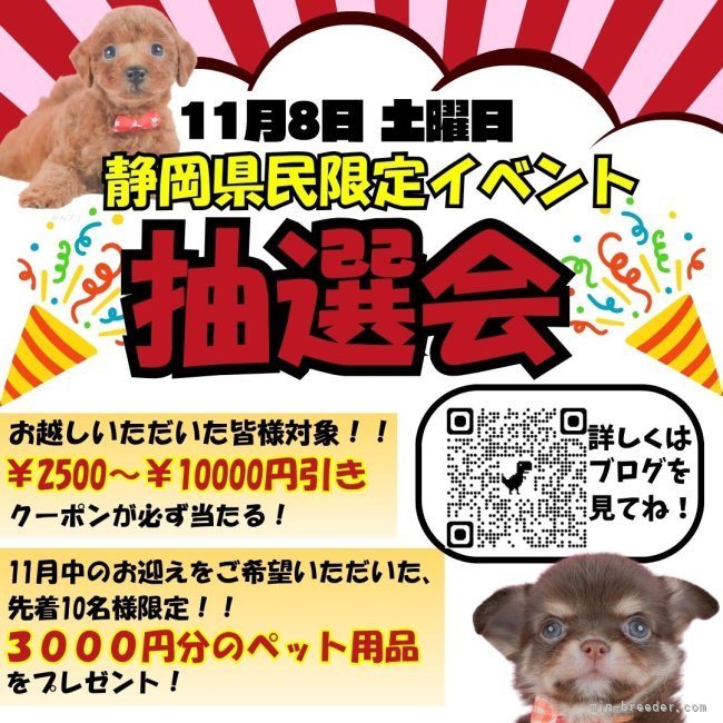 矢込晴菜ブリーダー