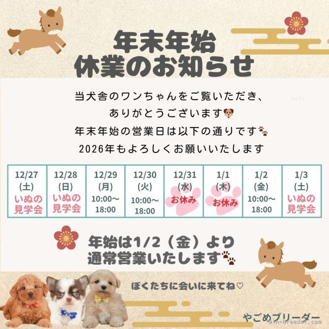 矢込晴菜ブリーダーのブログ：✨🎍年末年始のご案内＆1/3は見学会✨🎍期間限定で福袋もあります🎁🌸