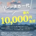 ポメラニアン【静岡県・男の子・2025年6月9日・ウルフセーブル】の写真12「🚗レンタカー代全額負担🚙観光がてらにぜひ、会いに来てください💕」