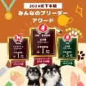 ヨークシャーテリア【静岡県・男の子・2025年3月9日・スティールブルー&タン】の写真14「👑ブリーダーランキング静岡県全犬種1位獲得👑たくさんの心温まるお言葉でここまで来れました😭」