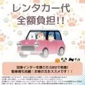 マルプー(マルチーズ×トイプードル)【静岡県・男の子・2025年3月13日・アプリコット】の写真12「🚗レンタカー代全額負担🚙観光がてらにぜひ、会いに来てください💕」