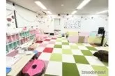 ポメプー(ポメラニアン×トイプードル)【栃木県・男の子・2024年12月27日・ブラック】の写真7「子犬と遊びながら対面できる、広々としたスペースでご案内します♬」