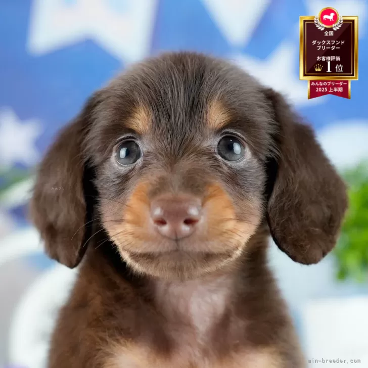 K.K 様のお迎えした子犬