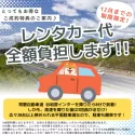 ポメラニアン【茨城県・男の子・2024年9月14日・オレンジセーブル】の写真6「【期間限定】レンタカー代全額負担します！レンタカー会社やプランに条件有。詳しくはお問い合わせ下さい！」