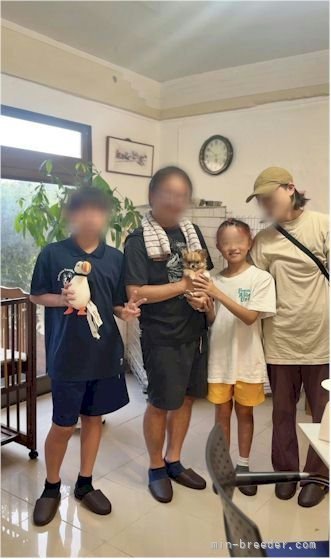 桜井文吾ブリーダーのブログ：コマくんのお迎え記念写真