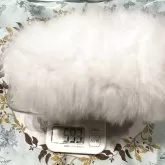 ポメラニアン【埼玉県・女の子・2025年10月14日・ホワイト】の写真5