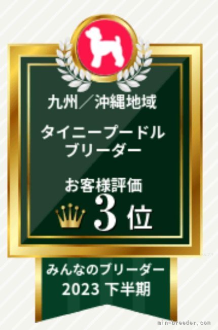 江田正子ブリーダーのブログ：お客様評価をいただきました。