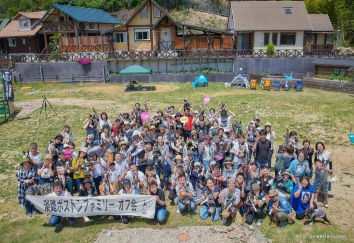 山口　さゆり(やまぐち　さゆり)ブリーダー(兵庫県・ボストンテリア・JKC登録)の紹介写真9