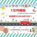 トイプードル(トイ)【千葉県・男の子・2025年3月17日・レッド】の写真10「💡お車がなくても大丈夫！成約特典でレンタカー代一部サポートします🚙✨」