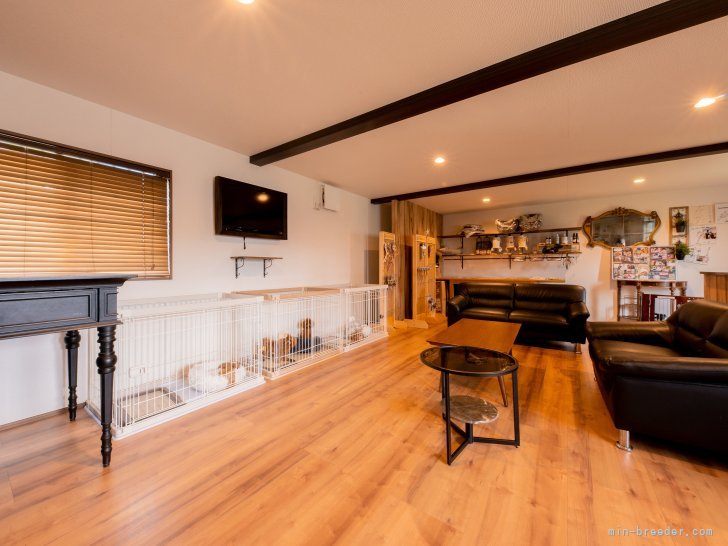 犬舎内の清掃は徹底しております。｜戸田　峻敬(とだ　としゆき)ブリーダー(埼玉県・トイプードルなど・JKC登録)の紹介写真5