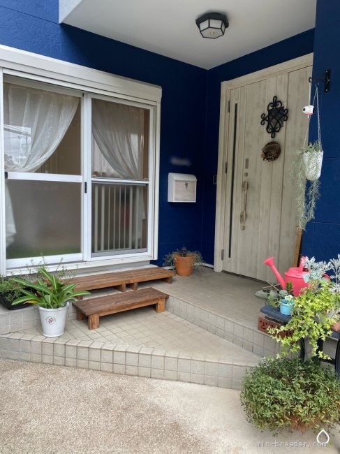 自宅併設の小さい犬舎です。衛生管理に気をつけ清潔を保っています。｜増岡　絵理(ますおか　えり)ブリーダー(千葉県・ミニチュアシュナウザーなど・JKC登録)の紹介写真2