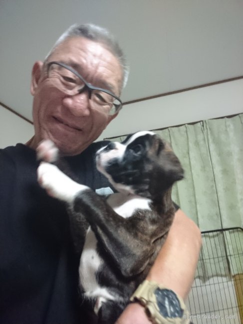 加藤静一ブリーダー