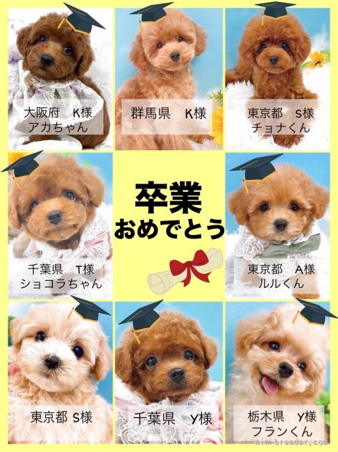 五十嵐千枝ブリーダーのブログ：ありがとうございました☺️